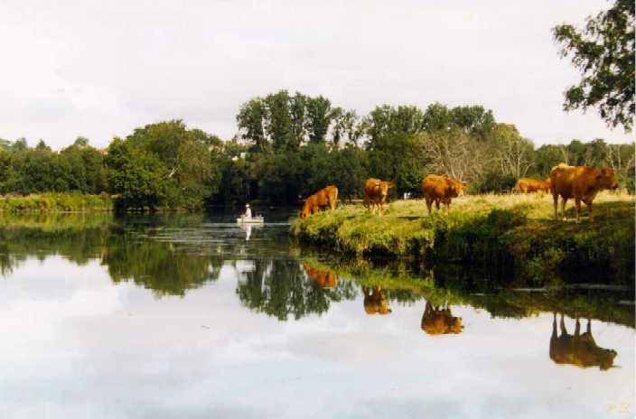 Photo de Charente - 16