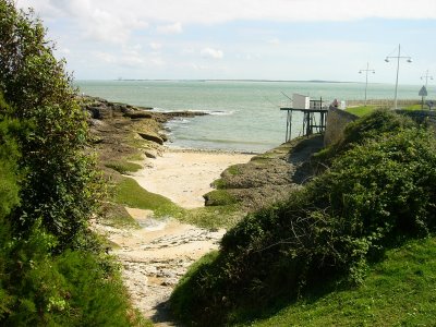 Photos