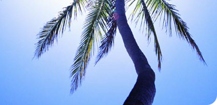 Photos et vid�os des Bermudes