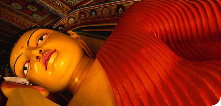 Photos et vid�os du Sri Lanka