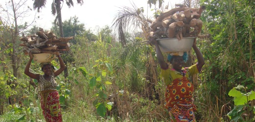 Photo de la Cte d'Ivoire