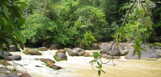 Photo du Guyana