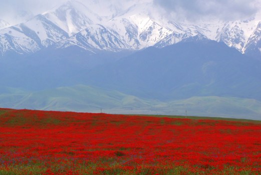 Photo du Kazakhstan
