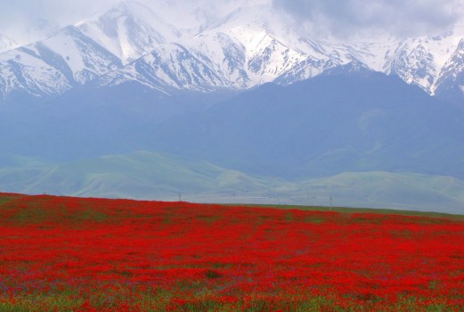Photo du Kazakhstan