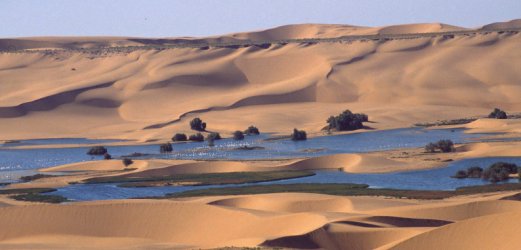 Photo du Sahara Occidental