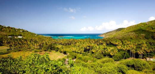 Photo de Saint-Vincent-et-les-Grenadines