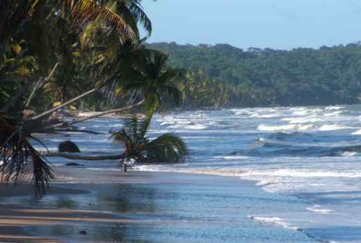 Photo de Trinit-et-Tobago