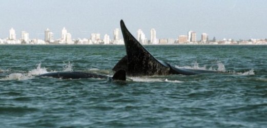 Photo de l'Uruguay